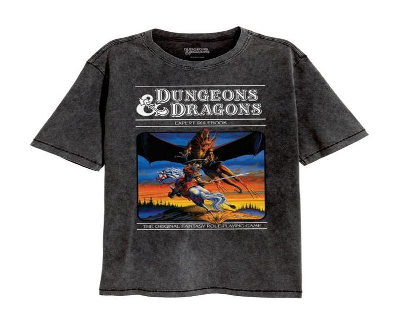 A Fan's Paradise: Dungeons And Dragons Merch Stores Revealed